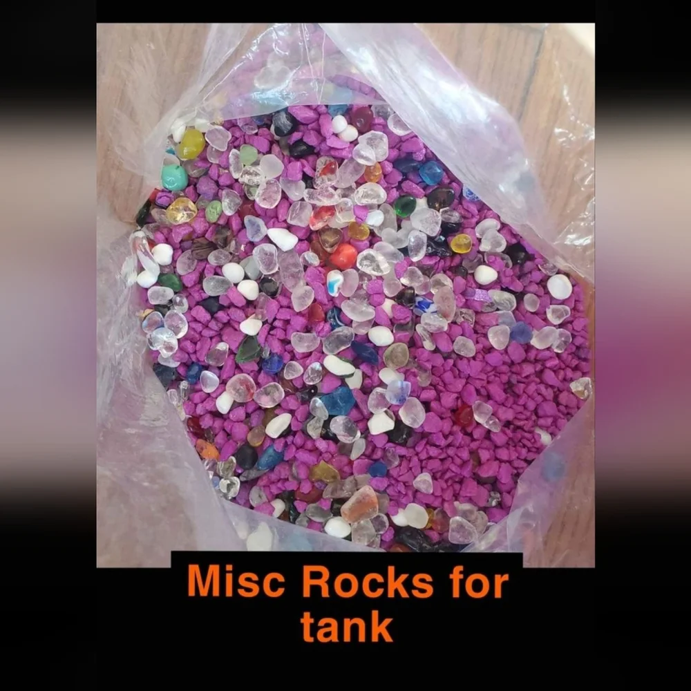 Fish Tank + Supplies